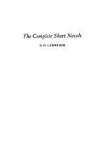 <em>The</em> Complete <em>S</em>hort Novel<em>s</em>