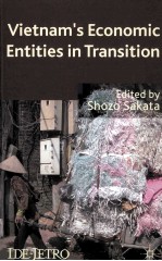 vietnam's <em>economic</em> entities in transition