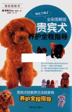 贵宾犬养护全程指导  全彩图解版