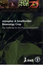 J<em>A</em>TROPH<em>A</em>: <em>A</em> S<em>A</em>MLLHOLDER BIOENERGY CROP:THE POTENTI<em>A</em>L <em>FOR</em> PRO-POOR <em>DEVELOPMENT</em>