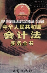 中华人民共和国会计法实务全书  上