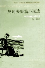 <em>契<em>诃夫</em></em>短篇小说选