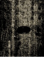 COMPUTER NETWORK<em>S</em> A <em>S</em>Y<em>S</em>TEM<em>S</em> APPROACH