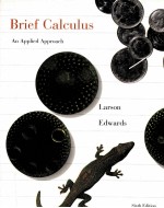 <em>BRIEF</em> CALCULUS AN APPLIED APPROACH SIXTH <em>EDITION</em>