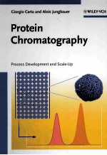 PROTE<em>IN</em> CHROMATOGRAPHY  PROCESS DEVELOPMENT <em>AND</em> SCALE-UP