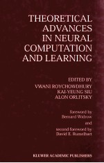THEORETICAL ADVANCES <em>IN</em> NEURAL COMPUTATION AND LEARN<em>IN</em>G