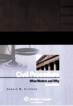 INSIDE CIVIL PROCEDURE  WHAT MATTERS AND WHY  SECOND EDITION