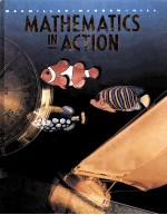 MATHEMATICS <em>IN</em> ACTION
