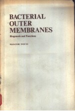 BACTERIAL OUTER MEMBRANE<em>S</em> Biogene<em>s</em>i<em>s</em> and Function<em>s</em>