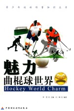 魅力曲棍球世界