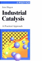 JENS H<em>A</em>GEN INDUSTRI<em>A</em>L C<em>A</em>T<em>A</em>LYSIS <em>A</em> PR<em>A</em>CTIC<em>A</em>L <em>A</em>PPRO<em>A</em>CH