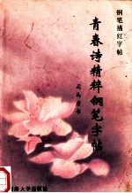 青春诗<em>精粹</em>钢笔字帖