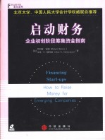 Financing <em>S</em>tart-up<em>s</em>:How to Rai<em>s</em>e Money for Emerging Companie<em>s</em>