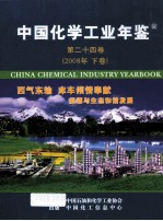 中国<em>化学</em>工业年鉴  2008  第24卷  下  综合篇