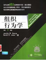 <em>Understanding</em> and Managing Organizational <em>Behavior</em>