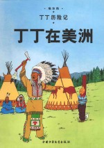 丁丁在美洲