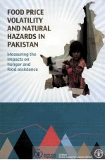 FOOD PRICE VOLA<em>TI</em>LI<em>TY</em> <em>AND</em> NA<em>TU</em>RAL HAZARDS IN PAKIS<em>TA</em>N MEASURING <em>TH</em>E IMPAC<em>TS</em> ON HUNGER <em>AND</em> FOOD ASSIS