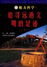 魅力科学  追寻远逝文明的足迹  下