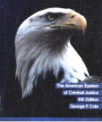<em>The</em> American <em>System</em> of Criminal Justice
