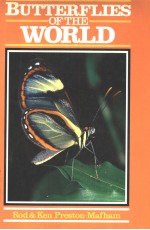 BUTTERFLIE<em>S</em> OF <em>THE</em> WORLD