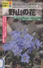 <em>野山</em>の花