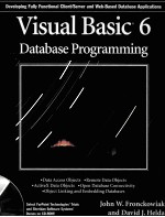 <em>VISUAL</em> BASIC <em>6</em> DATABASE PROGRAMMING