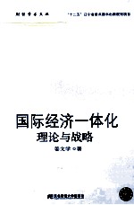 国际经济一体化  理论与战略