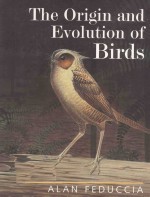 THE ORIGIN <em>AND</em> <em>EVOLUTION</em> OF BIRDS