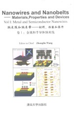 纳米线和纳米带：材料，性能和器件  卷1  金属和半导体纳米线