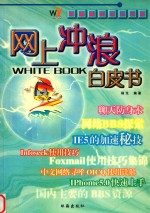 电脑<em>高级</em><em>培训</em>学院  网上冲浪白皮书