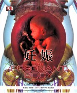 妊娠  从怀孕到分娩全程图解