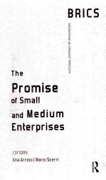 the promise <em>of</em> small and medium enterprises
