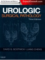 UROLOGIC SURGICAL <em>PATHOLOGY</em> THIRD <em>EDITION</em>