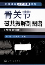 骨关节影像解剖图谱  汉英对照  中英对照版
