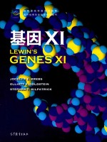 L<em>E</em>WIN'S G<em>E</em>N<em>E</em>S XI