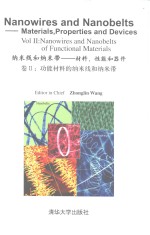 纳米线和纳米带：材料，性能和器件  卷2  功能材料的纳米线和纳米带