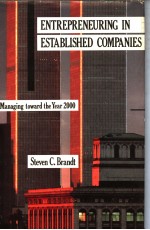 ENTREPRENEUR<em>IN</em>G <em>IN</em> ESTABLISHED COMPANIES