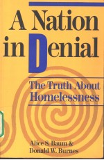 <em>A</em> N<em>a</em>tion <em>in</em> Deni<em>a</em>l