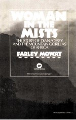 WOMAN IN <em>THE</em> MI<em>S</em>T<em>S</em>