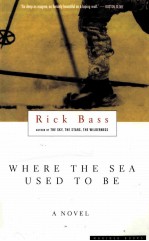RICK BASS WHERE <em>THE</em> SEA USED TO BE A NOVEL