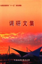仙居县级领导“<em>十<em>一五</em></em>”规划课题  调研文集