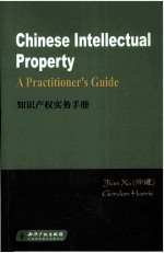 知识产权实务手册=<em>Chinese</em> Intellectual Property A Practitioner's Guide