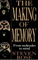 THE <em>MAKING</em> OF MEMORY