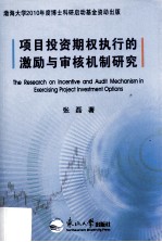 项目投资<em>期权</em>执行的激励<em>与</em>审核机制研究