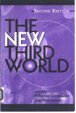 The New Third <em>World</em>  <em>Second</em> <em>Edition</em>