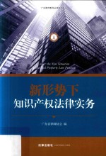 新形势下<em>知识</em>产权法律实务