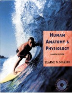 HUMA<em>N</em> A<em>N</em>ATOMY & PHYSIOLOGY FOURTH EDITIO<em>N</em>