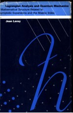 Lagrangian Analysis and <em>Quantum</em> <em>Mechanics</em>