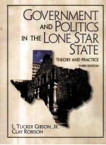 GOVERNMENT <em>A</em>ND POLITICS IN THE LONE ST<em>A</em>R ST<em>A</em>TE THEORY <em>A</em>ND PR<em>A</em>CTICE THIRD <em>EDITION</em>