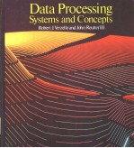 Data Processing <em>System</em>s <em>and</em> Concepts